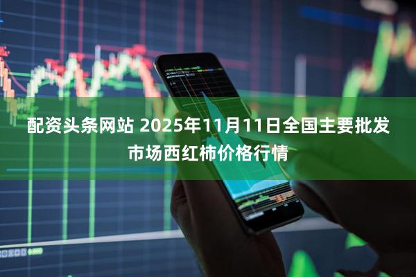 配资头条网站 2025年11月11日全国主要批发市场西红柿价格行情